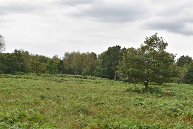 Chailey Common © N Chadwick :: Geograph Britain and Ireland