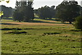 Dry pond along the Nailbourne