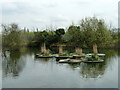 Tom Thumb Lake - islands or rafts?