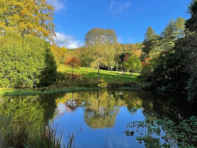 Reflection in the pond in Whirlow Brook Park