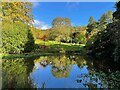 Reflection in the pond in Whirlow Brook Park