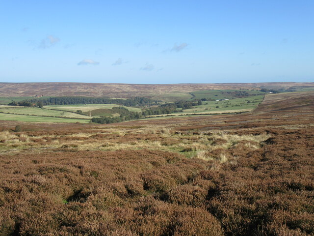 Warren Moor © T Eyre :: Geograph Britain and Ireland