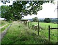 Farm track below Bradley Hall