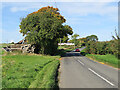 Collapsed shed, fallen apples, pink cottages and a red car