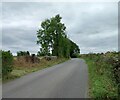 Darley, Stumps Lane