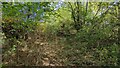 Overgrown public right of way (Watling Street)