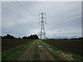 Farm track and electricity pylon