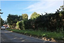 TL0334 : Dunstable Road, Flitwick by David Howard