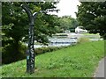 Sustrans milepost beside River Taff and Taff Trail