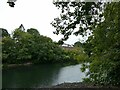 River Taff, Llandaff North