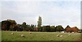 A field alongside Leeds Road, Heckmondwike