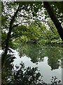 River Taff to the north of Pontcanna Fields