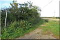 Footpath to Tonwell