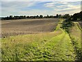 Footpath to Chapmore End