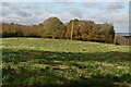 Footpath across pasture