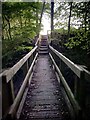TL3518 : Footbridge on the path to Wadesmill by Philip Jeffrey