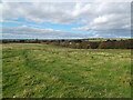 Fields south of Thornton-le-Dale