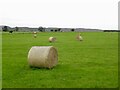 Round bales, Shipley