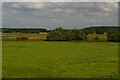 Water meadows along the River Idle from the railway at Bawtry