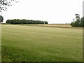 NU1815 : Field near Heckley High House by Richard Webb