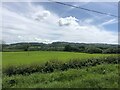 Carmarthenshire countryside