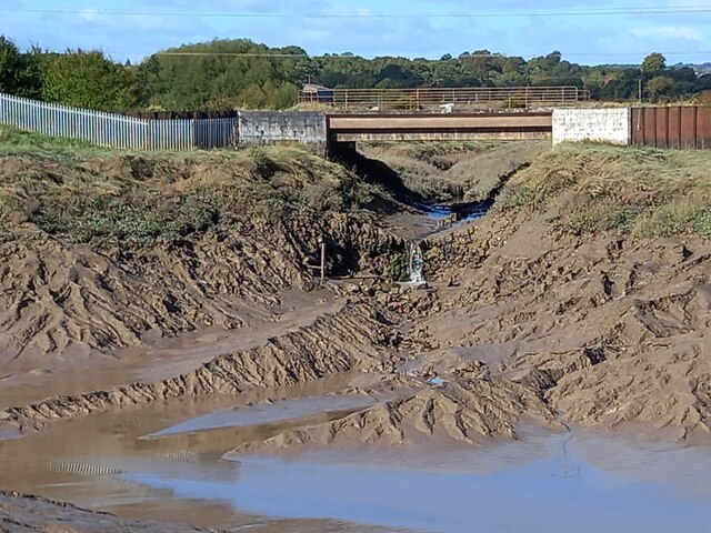 Railway bridge, St Pierre Pill © M J Roscoe :: Geograph Britain and Ireland