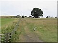 Farm track, Stouphill