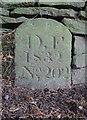 SO6814 : Old Boundary Stone, Littledean by Mr Red