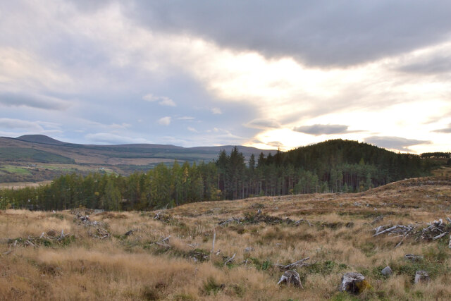 Moorland at Tullich, near Altass, Sutherland