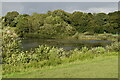 Lake, Chorlton Water Park