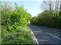 B3354 towards Winchester