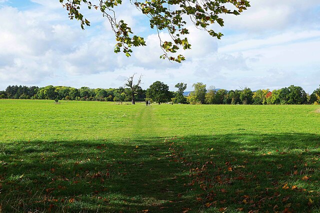 Footpath across field, Croome Park, Worcs