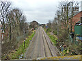 Railway south of Evering Road