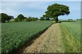 Farmland, Binsted