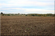 SP9153 : Field in Lavendon by David Howard
