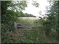 Field, Hedgley Hall