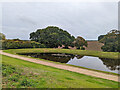 East end of balancing pond, Woodgate, Pease Pottage