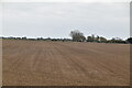 Flat farmland