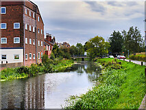 SK9670 : River Witham, Boultham by David Dixon