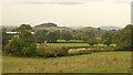 Fields near Wookey, Somerset