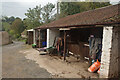 Stables in Wookey Hole, Somerset