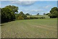 Farmland, Bentley