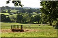 Pasture, Farnham