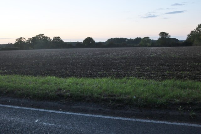 Field by Hopton Road, Market Weston