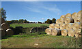 Bales and Old Walls, Asthall