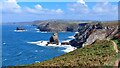 Coast path west of Boscastle