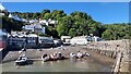 Clovelly Harbour