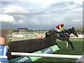 TF9228 : Jumping the first fence at Fakenham Racecourse in Norfolk by Richard Humphrey