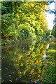 Winsley : Kennet & Avon Canal