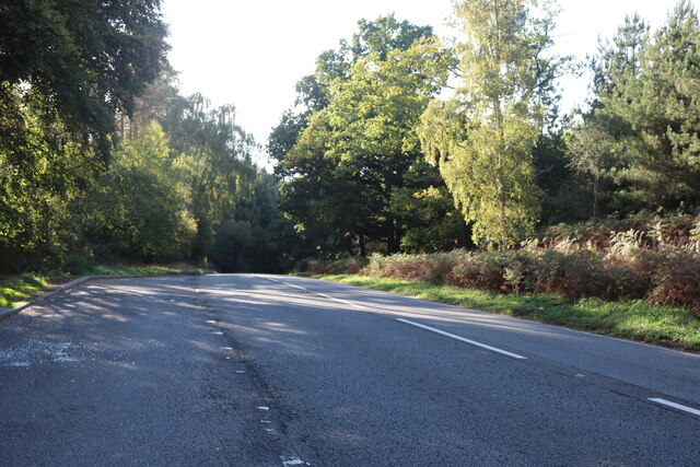 Woburn Road west of Millbrook